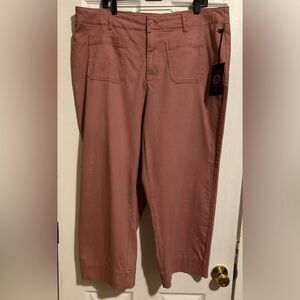 Kathy Ireland Pants Size 18W